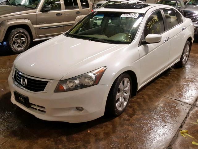 1HGCP36808A035670 - 2008 HONDA ACCORD EXL WHITE photo 2