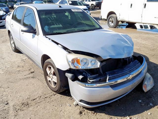 1G1ZT54805F160775 - 2005 CHEVROLET MALIBU LS SILVER photo 1