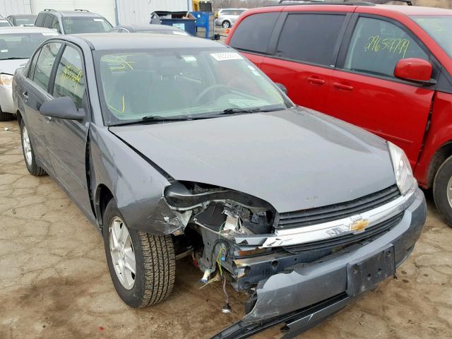 1G1ZT548X5F178748 - 2005 CHEVROLET MALIBU LS GRAY photo 1