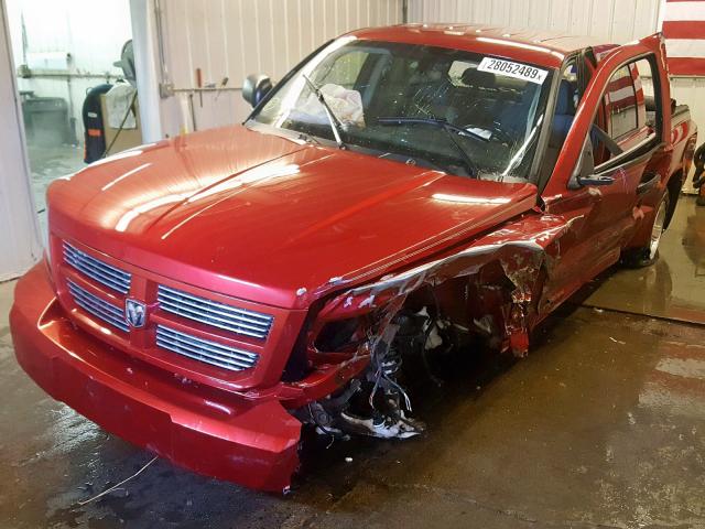 1D7HW38P99S808696 - 2009 DODGE DAKOTA SXT RED photo 2