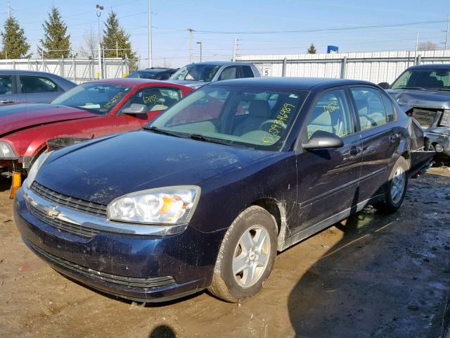 1G1ZT52895F333034 - 2005 CHEVROLET MALIBU LS BLUE photo 2