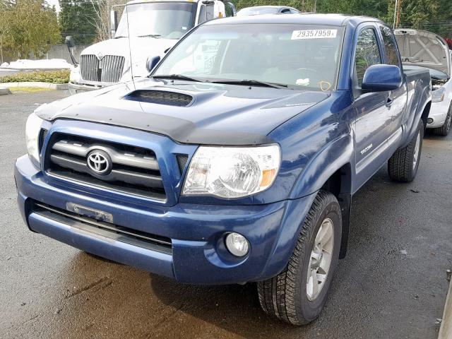 5TETU62N88Z591428 - 2008 TOYOTA TACOMA PRE BLUE photo 2