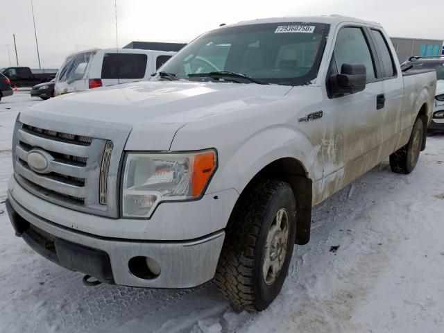 1FTPX14V19FA71479 - 2009 FORD F150 SUPER CAB  photo 2