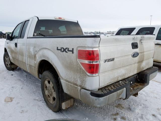 1FTPX14V19FA71479 - 2009 FORD F150 SUPER CAB  photo 3