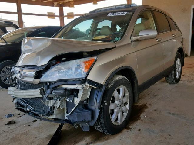 5J6RE48788L034161 - 2008 HONDA CR-V EXL GOLD photo 2