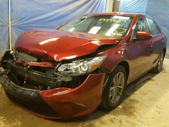 4T1BF1FK5GU606995 - 2016 TOYOTA CAMRY LE RED photo 2