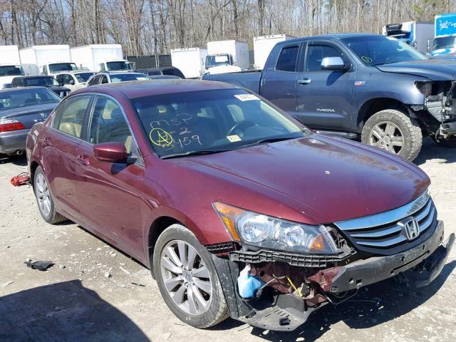 1HGCP2F82CA152153 - 2012 HONDA ACCORD EXL BURGUNDY photo 1