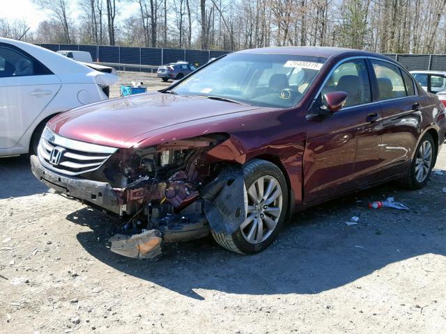 1HGCP2F82CA152153 - 2012 HONDA ACCORD EXL BURGUNDY photo 2