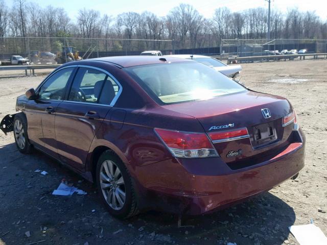 1HGCP2F82CA152153 - 2012 HONDA ACCORD EXL BURGUNDY photo 3