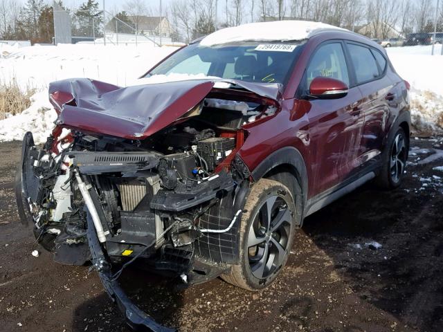 KM8J3CA27HU532665 - 2017 HYUNDAI TUCSON LIM BURGUNDY photo 2