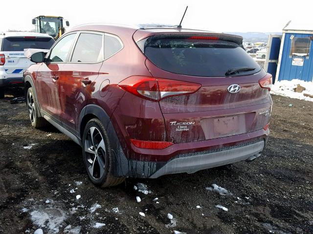 KM8J3CA27HU532665 - 2017 HYUNDAI TUCSON LIM BURGUNDY photo 3