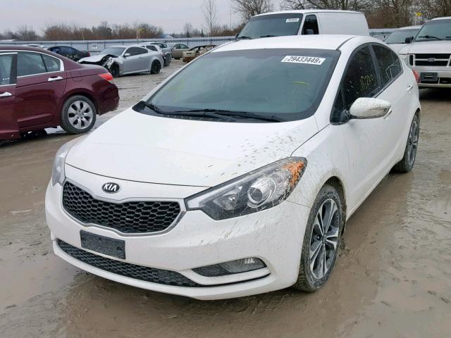 KNAFX4A85E5055911 - 2014 KIA FORTE EX WHITE photo 2