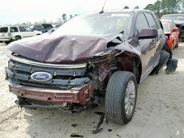 2FMDK3KC0BBA82295 - 2011 FORD EDGE LIMIT PURPLE photo 2