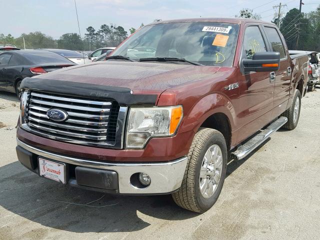 1FTEW1C89AFC78020 - 2010 FORD F150 SUPER RED photo 2