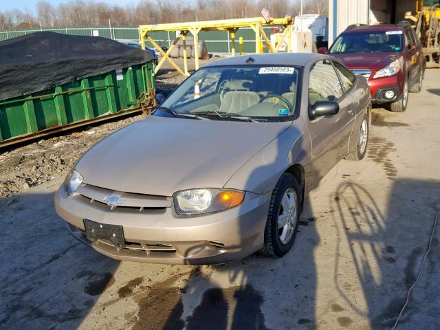 1G1JF12F437190187 - 2003 CHEVROLET CAVALIER L GOLD photo 2