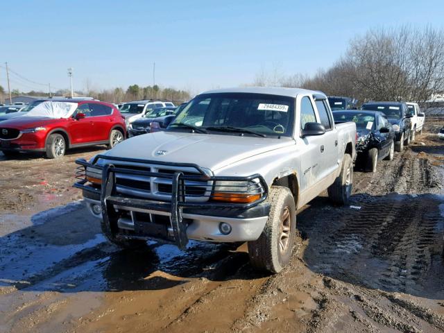 1B7GG2AN91S201921 - 2001 DODGE DAKOTA QUA GRAY photo 2