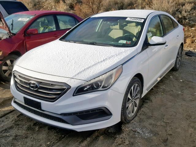 5NPE34AF9FH060040 - 2015 HYUNDAI SONATA SPO WHITE photo 2