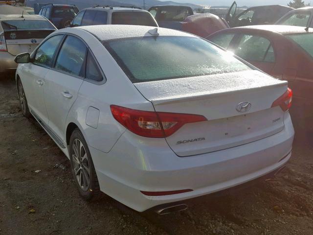 5NPE34AF9FH060040 - 2015 HYUNDAI SONATA SPO WHITE photo 3