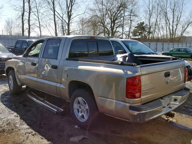 1D7HE48K35S335739 - 2005 DODGE DAKOTA QUA GOLD photo 3