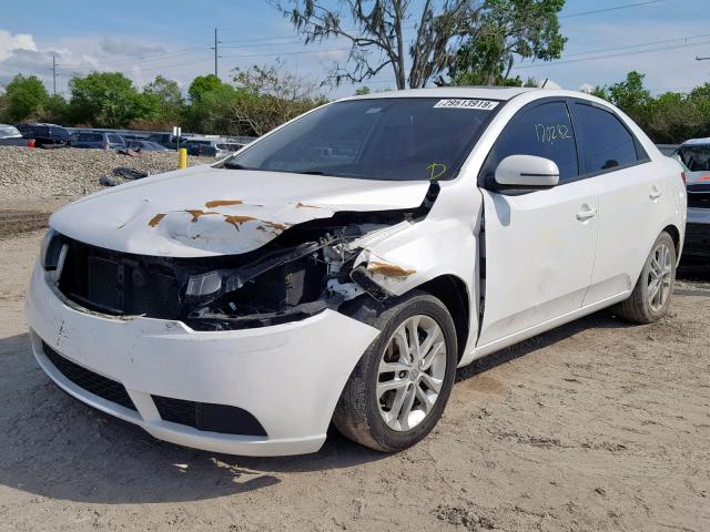 KNAFU4A22B5460138 - 2011 KIA FORTE EX WHITE photo 2