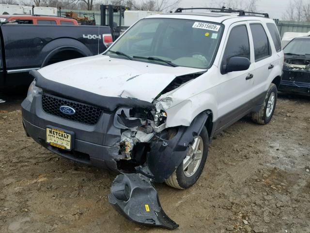 1FMYU02Z75KA00250 - 2005 FORD ESCAPE WHITE photo 2