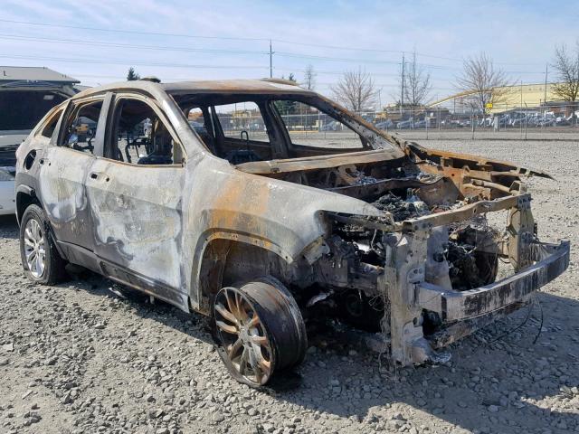 1C4PJMCB8KD168013 - 2019 JEEP CHEROKEE L BURN photo 1