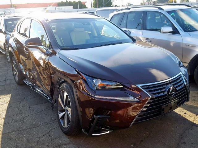 JTJYARBZ8K2128619 - 2019 LEXUS NX 300 BROWN photo 1