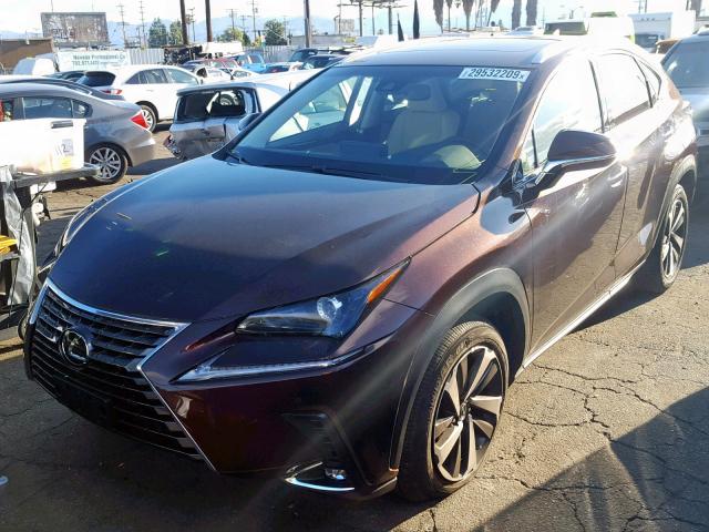 JTJYARBZ8K2128619 - 2019 LEXUS NX 300 BROWN photo 2