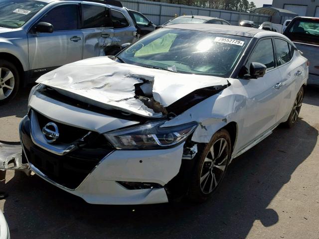 1N4AA6AP0GC404317 - 2016 NISSAN MAXIMA 3.5 WHITE photo 2