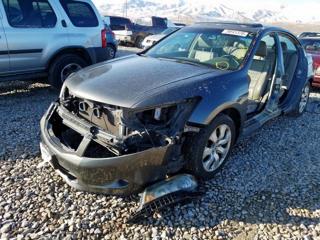 1HGCP36839A025328 - 2009 HONDA ACCORD EXL  photo 2