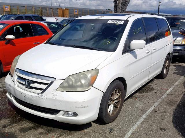 5FNRL38805B106399 - 2005 HONDA ODYSSEY TO WHITE photo 2