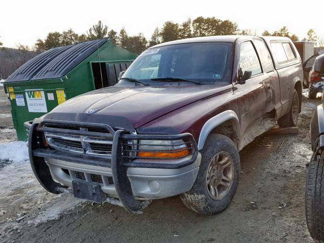 1B7GL42X32S694469 - 2002 DODGE DAKOTA MAROON photo 2