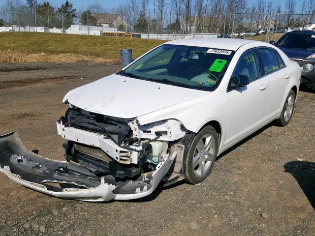 1G1ZB5E05CF241442 - 2012 CHEVROLET MALIBU LS 白色 照片 2