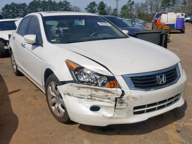 5KBCP3F85AB005464 - 2010 HONDA ACCORD EXL WHITE photo 1