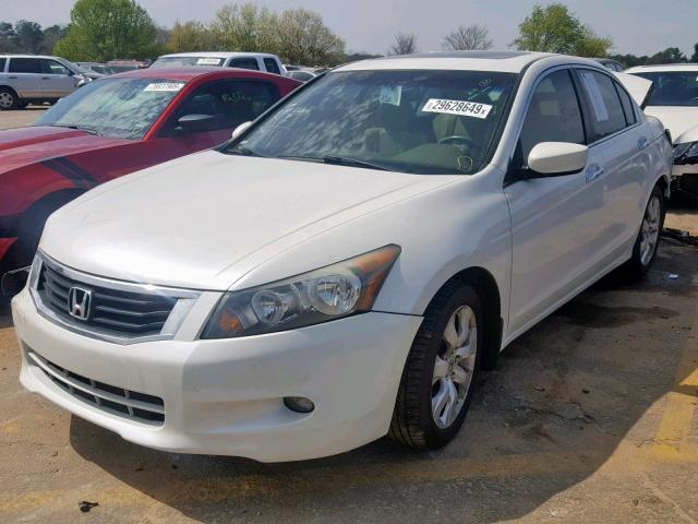 5KBCP3F85AB005464 - 2010 HONDA ACCORD EXL WHITE photo 2