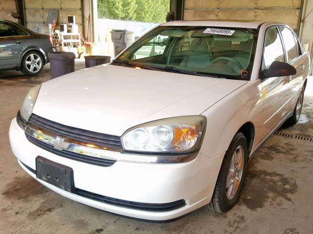 1G1ZT54814F171153 - 2004 CHEVROLET MALIBU LS WHITE photo 2