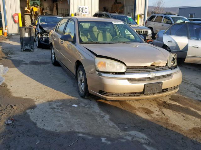 1G1ZT52845F239028 - 2005 CHEVROLET MALIBU LS GOLD photo 1