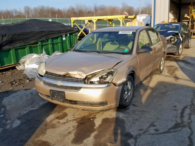 1G1ZT52845F239028 - 2005 CHEVROLET MALIBU LS GOLD photo 2