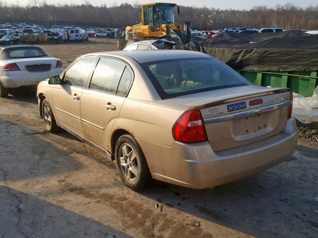 1G1ZT52845F239028 - 2005 CHEVROLET MALIBU LS GOLD photo 3