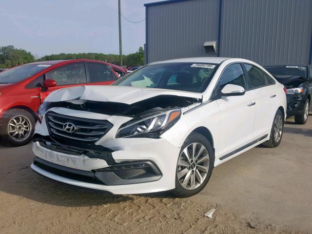 5NPE34AF0FH160608 - 2015 HYUNDAI SONATA SPO WHITE photo 2