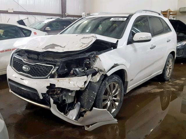 5XYKWDA28CG292252 - 2012 KIA SORENTO SX WHITE photo 2