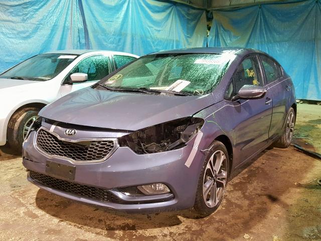 KNAFX4A80E5074141 - 2014 KIA FORTE EX BLUE photo 2