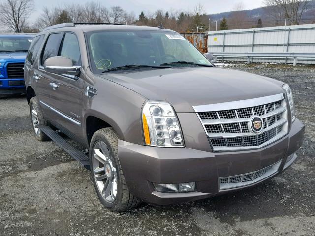 1GYS4DEF0DR312025 - 2013 CADILLAC ESCALADE P BROWN photo 1