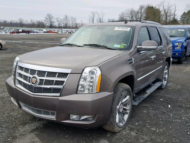 1GYS4DEF0DR312025 - 2013 CADILLAC ESCALADE P BROWN photo 2