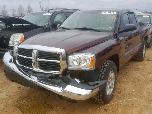 1D7HW48N15S332507 - 2005 DODGE DAKOTA QUA MAROON photo 2