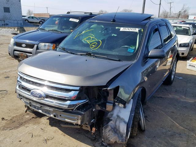 2FMDK3JC3EBA61673 - 2014 FORD EDGE SEL TAN photo 2