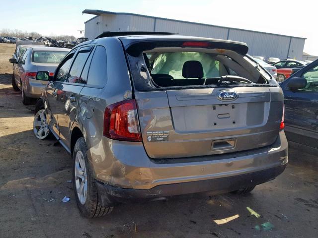 2FMDK3JC3EBA61673 - 2014 FORD EDGE SEL TAN photo 3