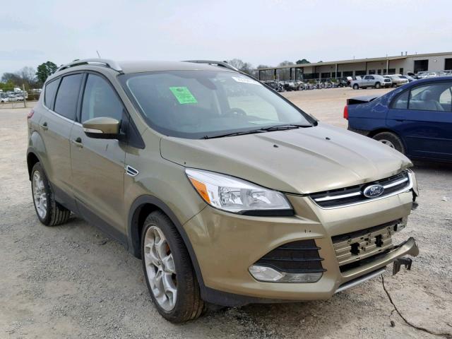 1FMCU0JX5EUB21731 - 2014 FORD ESCAPE TIT GREEN photo 1