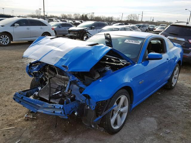 1ZVBP8CF1D5228632 - 2013 FORD MUSTANG GT BLUE photo 2