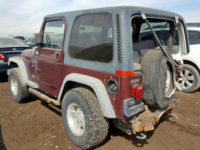 1J4FA49S01P311210 - 2001 JEEP WRANGLER / BROWN photo 3